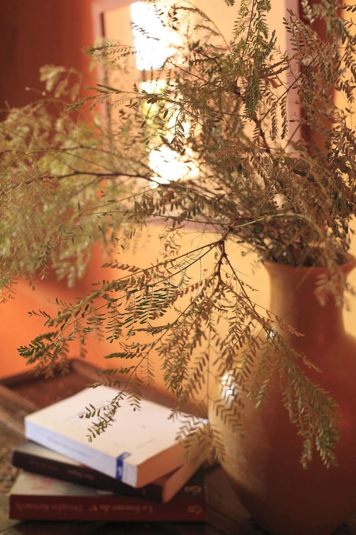 مبيت وإفطار Al Ghar Le Jardin Des Douars المظهر الخارجي الصورة